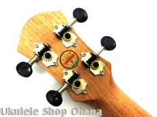 aNueNue [aNN-MCM] ミニコンサート マホガニー合板_8