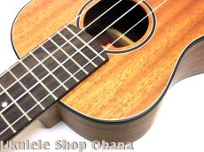 aNueNue [aNN-MCM] ミニコンサート マホガニー合板_9