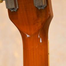 Gibson ES-175_6