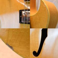 Gibson ES-175_7