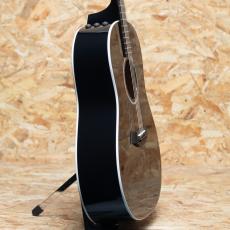 Taylor 217e BLK Plus_4