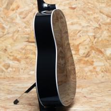 Taylor 217e BLK Plus_5