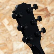 Taylor 217e BLK Plus_9
