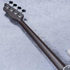 SAITO GUITARS S-420bCSJ - Greige - 【4.08kg】【#253094】_9