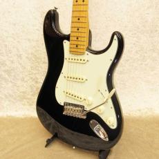 Fender American Professional II Stratocaster_2