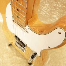 Fender American Standard Telecaster_4