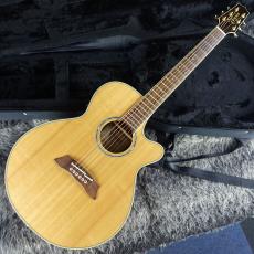 Takamine TSP-138C N