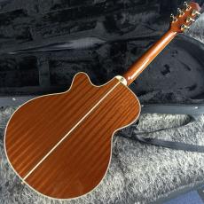 Takamine TSP-138C N_3