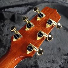 Takamine TSP-138C N_4