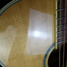 Takamine TSP-138C N_5