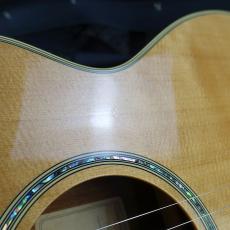 Takamine TSP-138C N_6