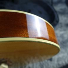 Takamine TSP-138C N_7