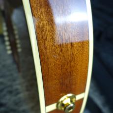 Takamine TSP-138C N_8