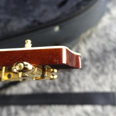 Takamine TSP-138C N_10