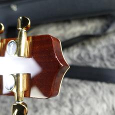 Takamine TSP-138C N_11