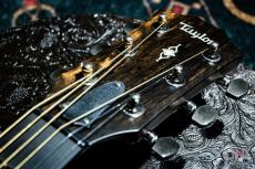 Taylor 317e V-Class / 2019_3