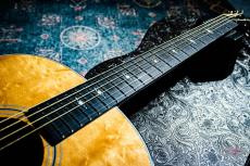 Taylor 317e V-Class / 2019_4