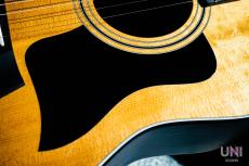 Taylor 317e V-Class / 2019_5