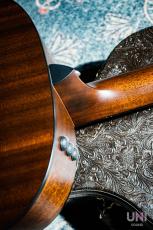 Taylor 317e V-Class / 2019_7