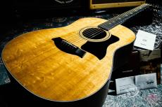 Taylor 317e V-Class / 2019_8