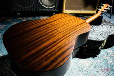 Taylor 317e V-Class / 2019_10