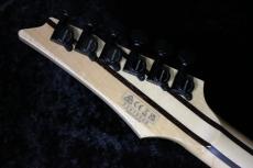 Ibanez 【激杢個体】j-Custom Axe Design Lab RG8870 Solalite-#F2413509【重量/3.75kg】【SPOT MODEL】_10