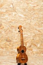 Solfa by YGK Soprano #361 2020_3