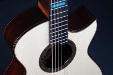 Turnstone Guitar Company​​ TM Cutaway_12