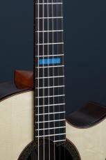 Turnstone Guitar Company​​ TM Cutaway_15