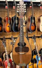 CALACE Raffaele Calace Mandolin 1926【As-Is】_2