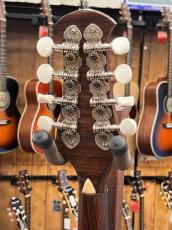 CALACE Raffaele Calace Mandolin 1926【As-Is】_9