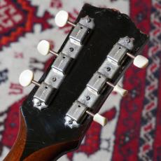 Gibson 1958 ES-125T_9