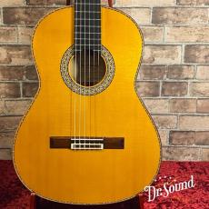 Juan Hernandez [ホアン・エルナンデス] Model:Flamenca Profesional 【スペシャル動画あり】