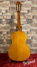 Juan Hernandez [ホアン・エルナンデス] Model:Flamenca Profesional 【スペシャル動画あり】_4