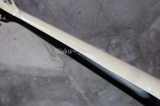 DEAN USA Michael Schenker Flames V 100 Limited_6