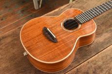 aNueNue  Concert aNN-AAA2E_2