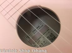 aNueNue [Lyra LFG-DR]コンサート カッタウェイ グラスファイバー ダスティローズ_10