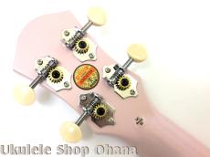 aNueNue [Lyra LFG-DR]コンサート カッタウェイ グラスファイバー ダスティローズ_14