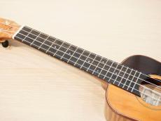 茶位 Concert No.22 屋久杉 /メイプル_6