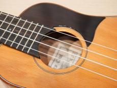 茶位 Concert No.22 屋久杉 /メイプル_8