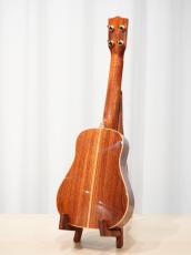 茶位 Concert No.17 屋久杉 /ニューハカランダ_3