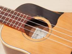 茶位 Concert No.17 屋久杉 /ニューハカランダ_8