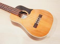 茶位 Concert No.17 屋久杉 /ニューハカランダ_10