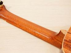 茶位 Concert No.17 オーストラリアン・ブラックウッド_7