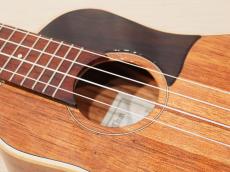 茶位 Concert No.17 オーストラリアン・ブラックウッド_8