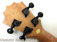 Koalana [KTA-10SP] コアラナ テナー4弦 サペリ合板 Low-G仕様_7