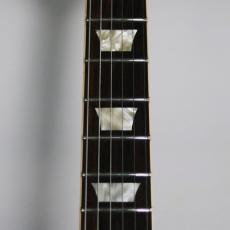 Gibson Don Felder Hotel California 1959LesPaul vos_5