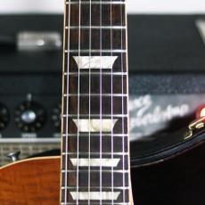 Gibson Don Felder Hotel California 1959LesPaul vos_6