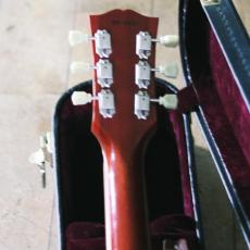 Gibson Don Felder Hotel California 1959LesPaul vos_14