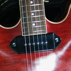 Heritage H-530 TR CH AGED_6